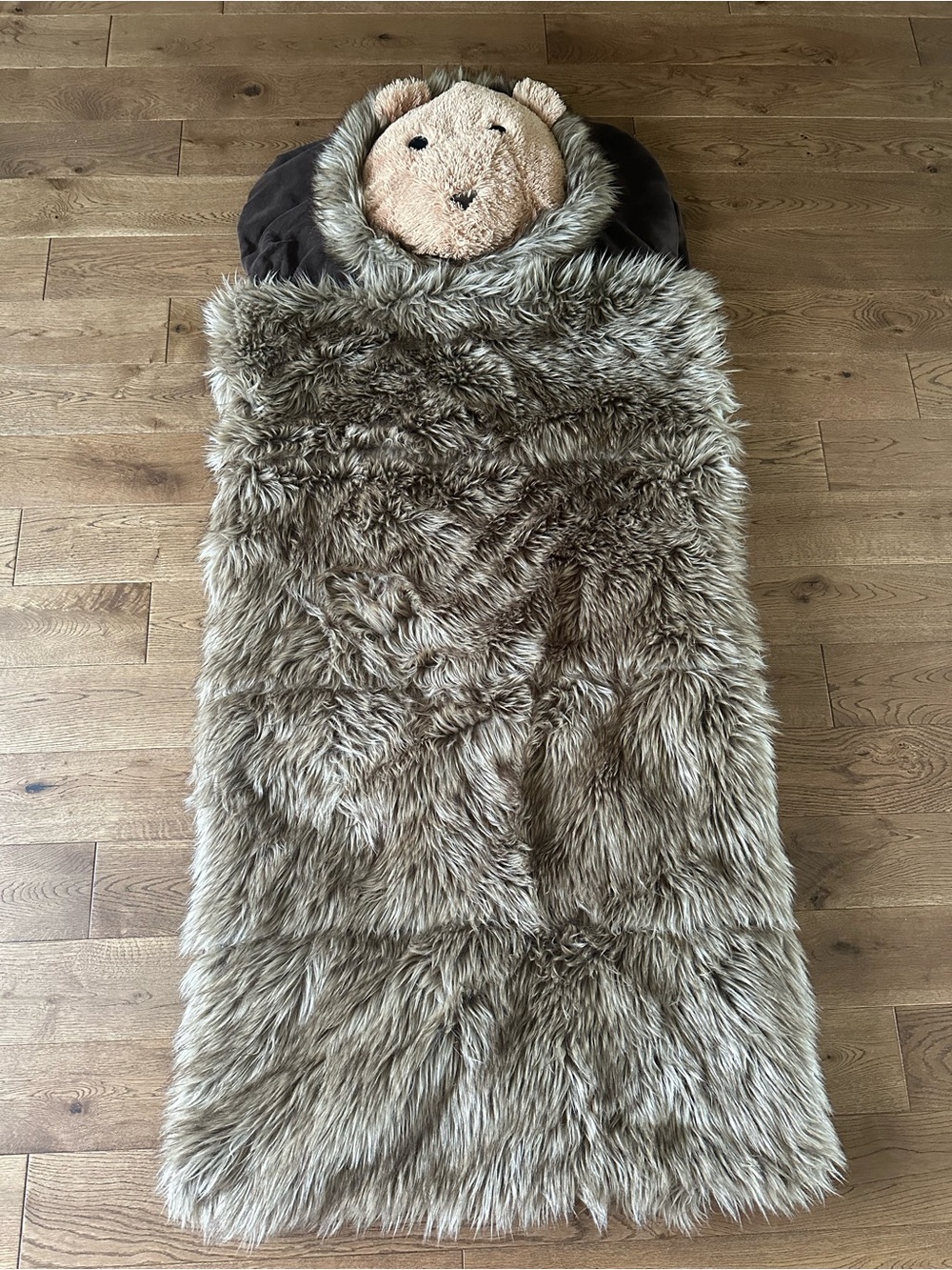 Restoration Hardware Baby& Child Faux Fur Sleeping Bag Lion